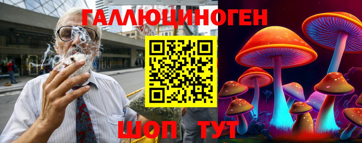 Петрозаводск  Псилоцибиновые грибы GOLDEN TEACHER  наркота  Вход с VPN  Псилоцибиновые грибы Cubensis 